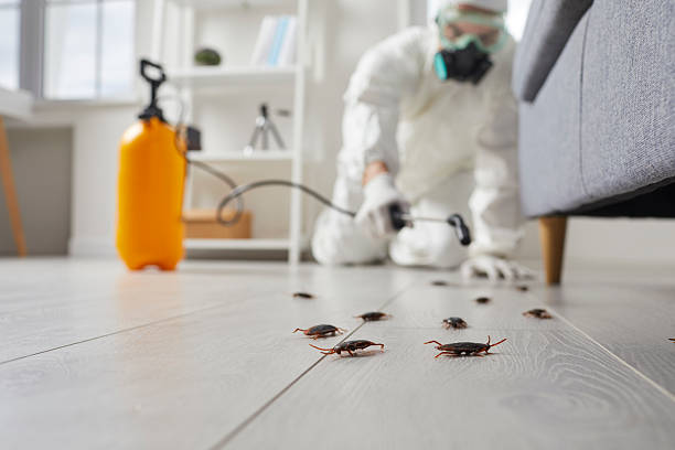 Commercial Kitchen Cockroach Control in Greenhills